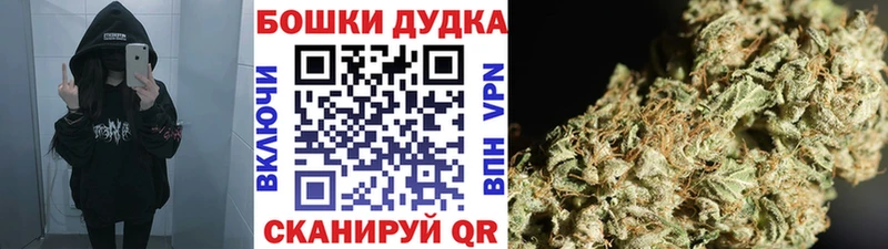 купить  сайты  Камызяк  Бошки марихуана THC 21% 